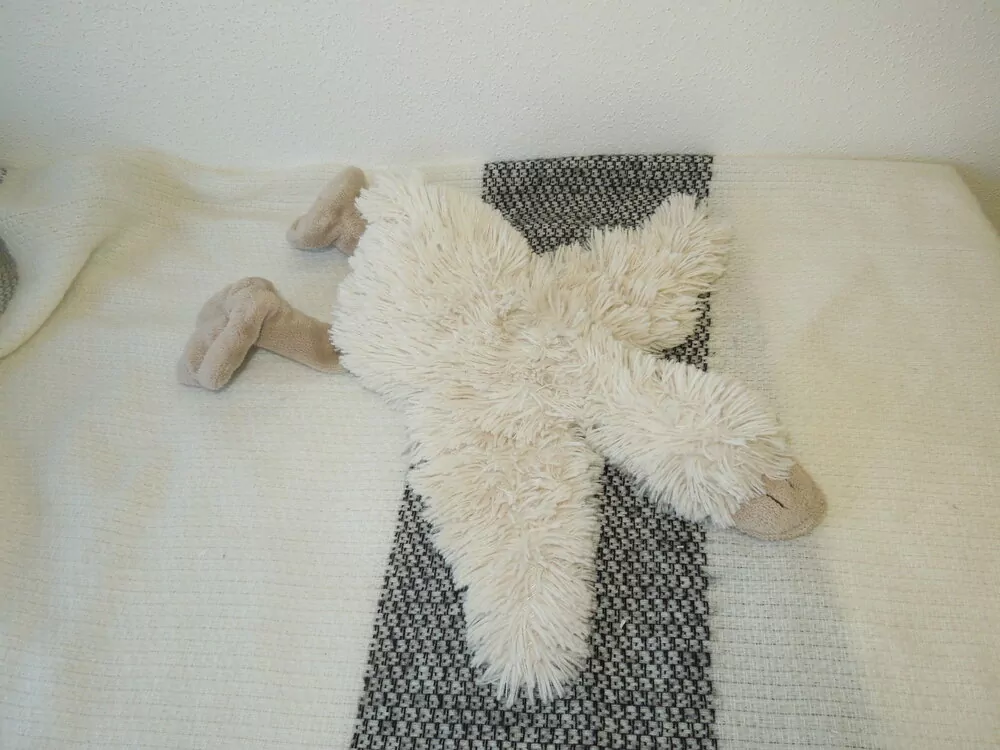 Rozpláclý pták 🙂 Ležící 32 cm, 0,1 kg, 1 jakost