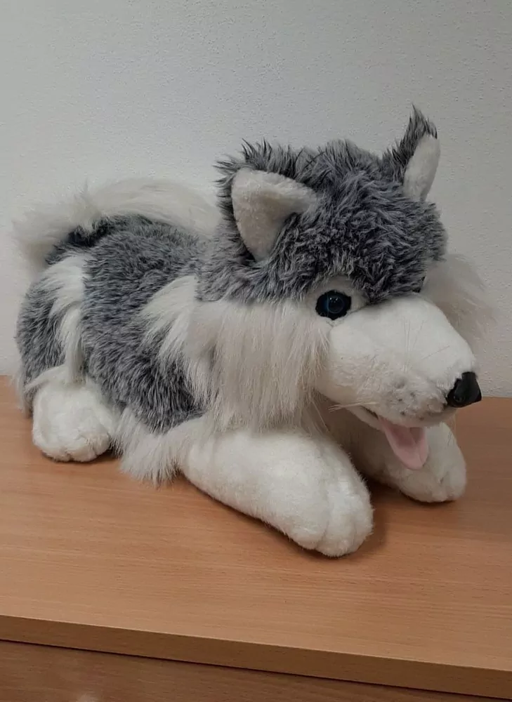 Velký ležící pes, 0,9 kg, 55 cm