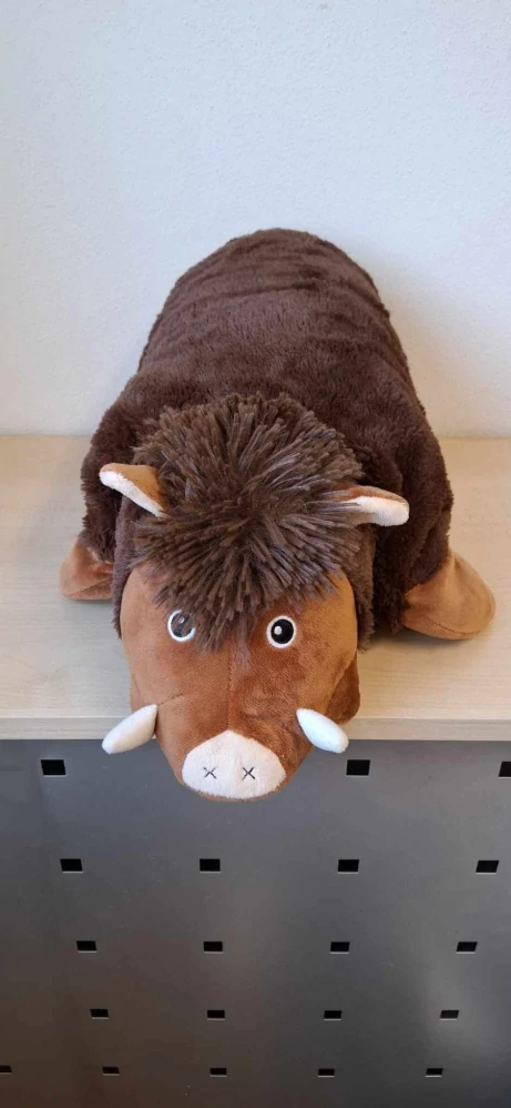 Hračka 934, 0,36 Kg, Polštářek, plyšák, divoké prase, pěkný stav, bez vad