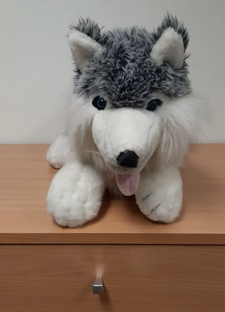 Velký ležící pes, 0,9 kg, 55 cm