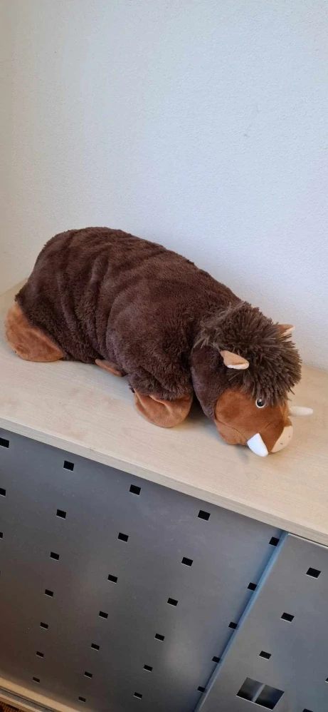 Hračka 934, 0,36 Kg, Polštářek, plyšák, divoké prase, pěkný stav, bez vad