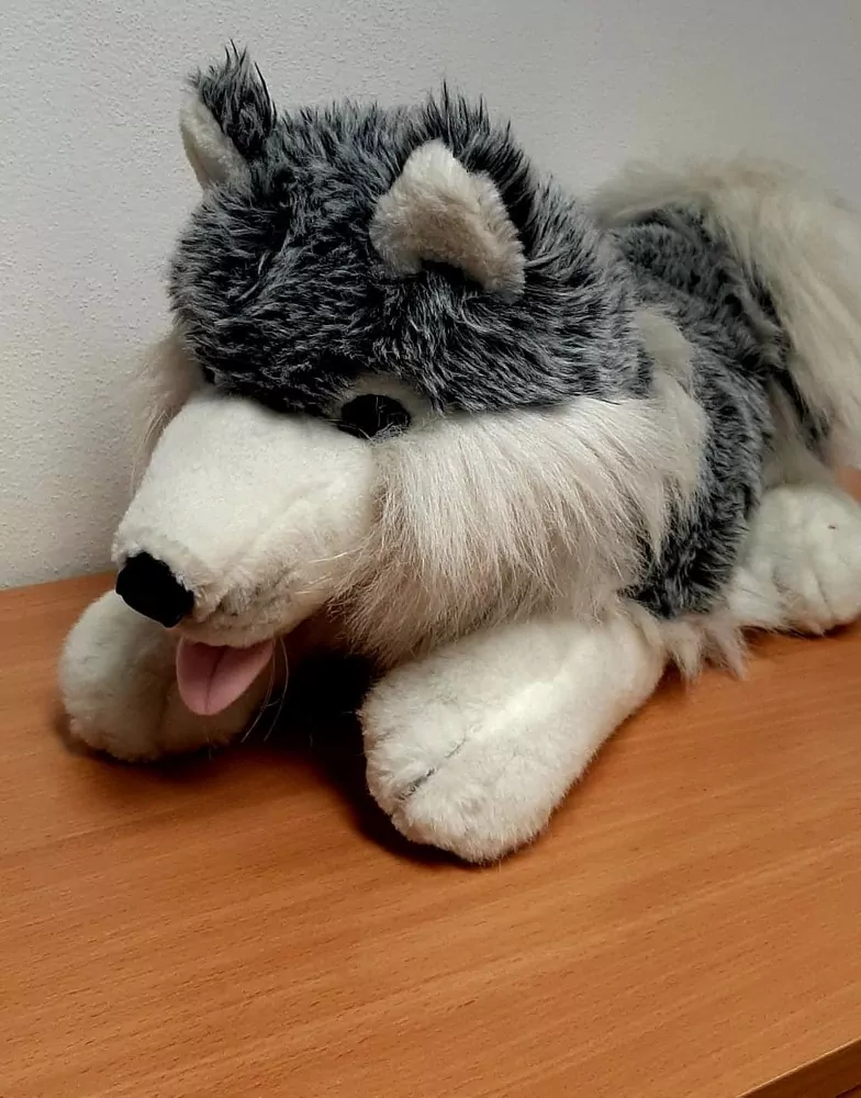 Velký ležící pes, 0,9 kg, 55 cm