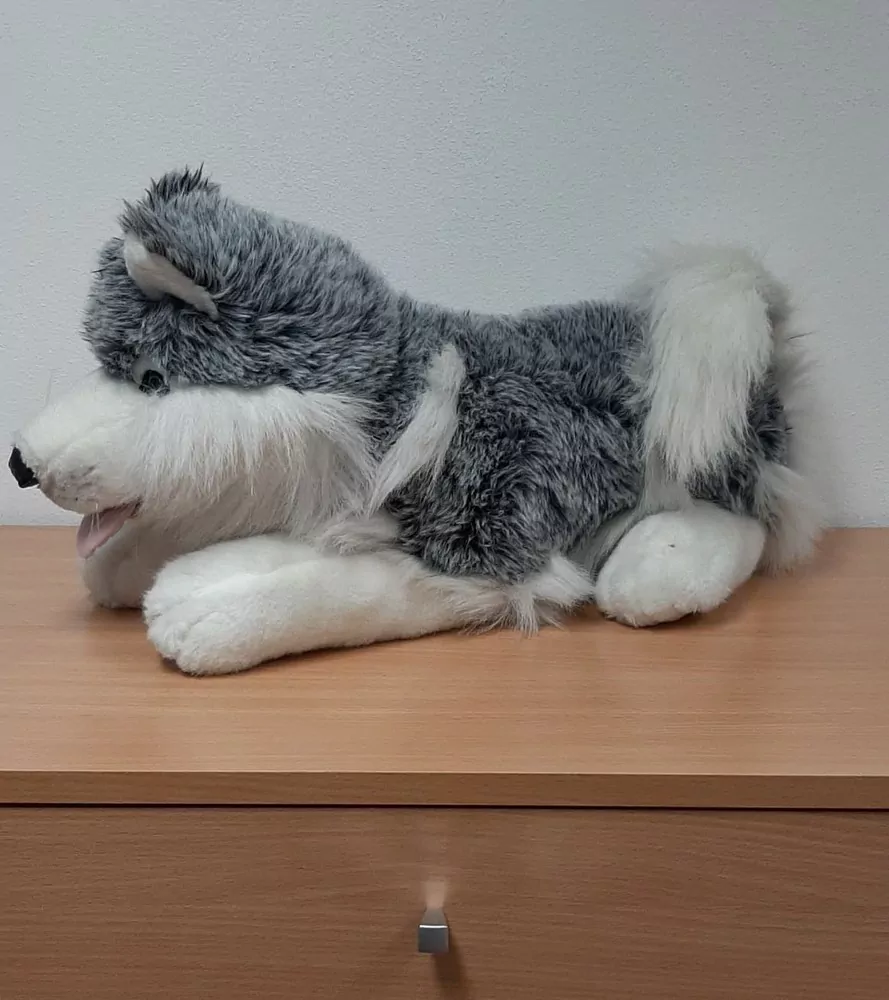 Velký ležící pes, 0,9 kg, 55 cm
